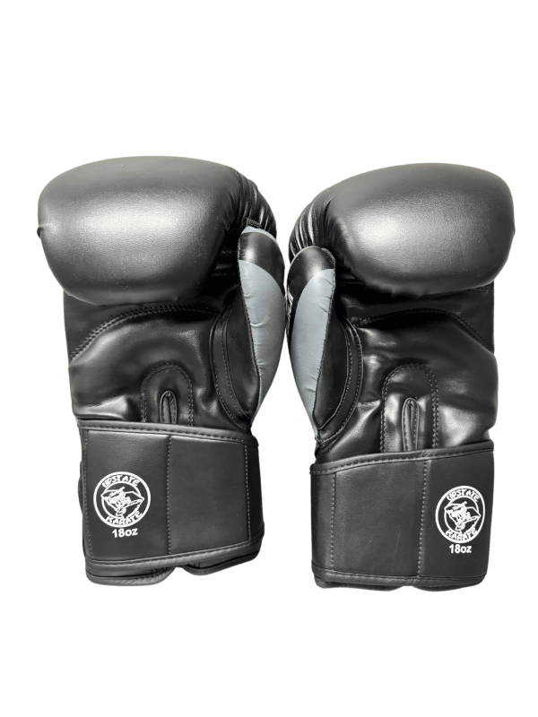 PBFS 18oz Training Gloves - Image 3